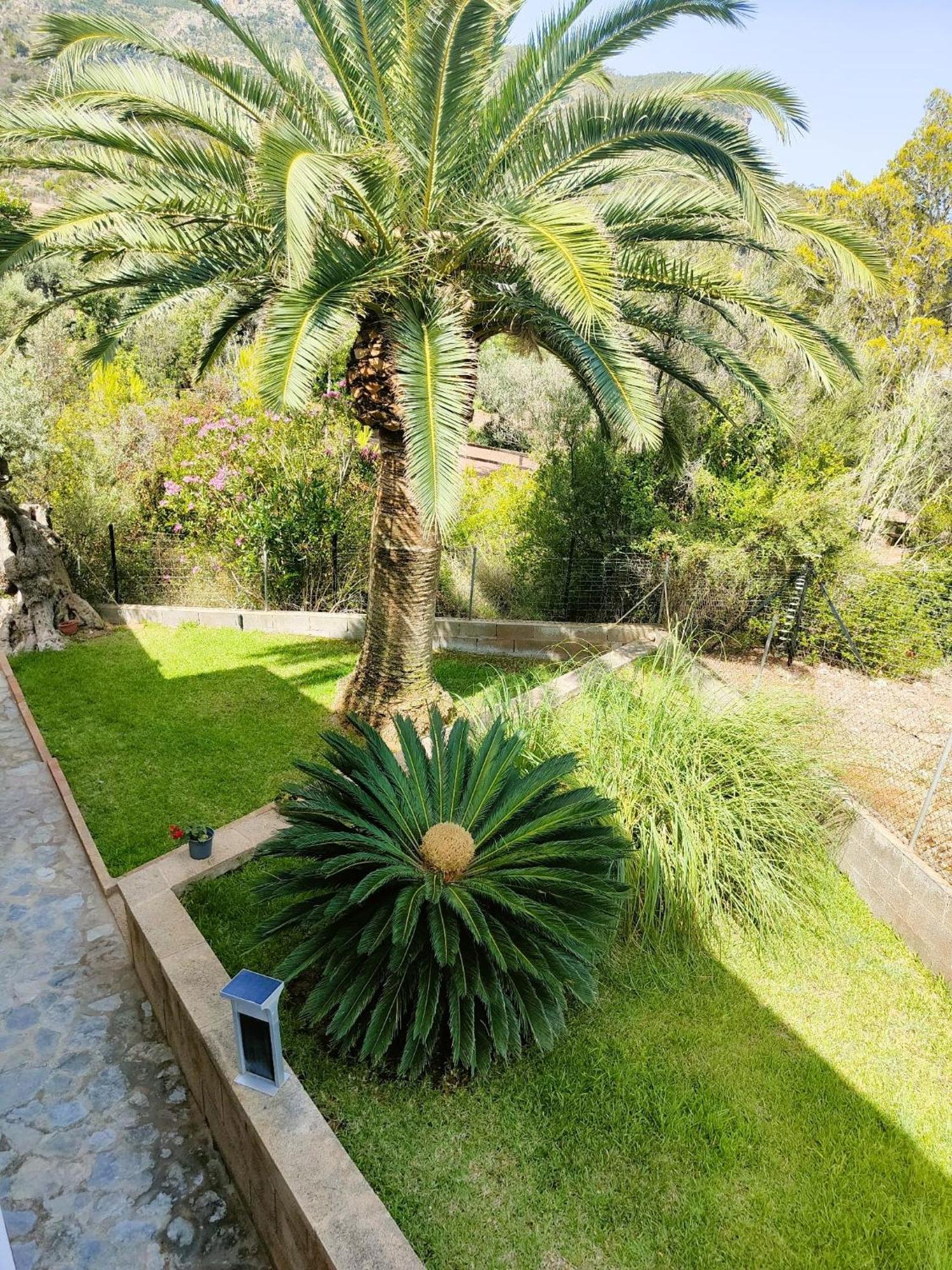 Villa Capllonch Bañalbufar  Exterior foto